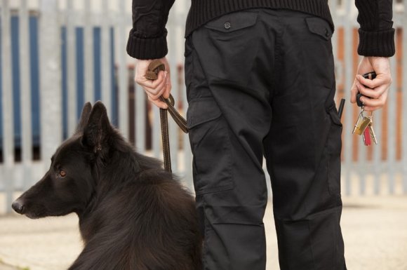 Agent maître chien pour assurer la sécurité de la réserve d'une entreprise Ris-Orangis