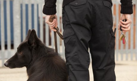 Agent maître chien pour assurer la sécurité de la réserve d'une entreprise Ris-Orangis